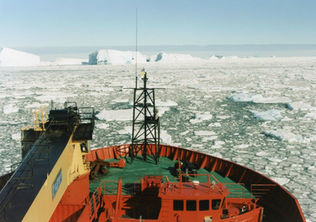 Scan img008.jpg