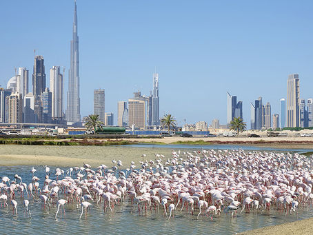 Exploring the Unexplored in Dubai: 10 hidden gems for Dubai wanderlusts