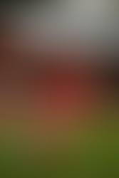 Declan Rice: Pinpoint accuracy