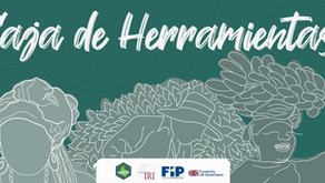 Caja de herramientas #DelCapitolioAlTerritorio