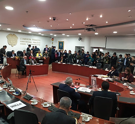 Comisión Primera.jpeg