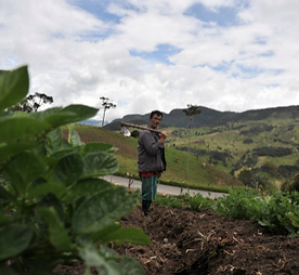 Captura de pantalla 2020-05-06 a la(s) 8