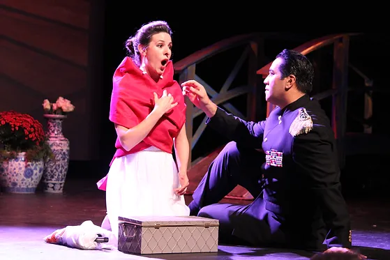Opera Connecticut.webp