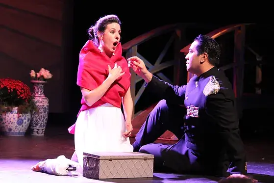 Opera Connecticut.webp