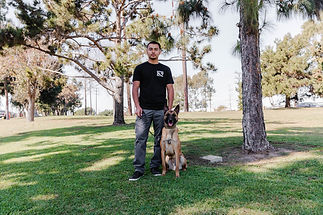 presidential_k9_los_angeles_dog_training_professional_puppy_elevated_off_leash_sit_means_s