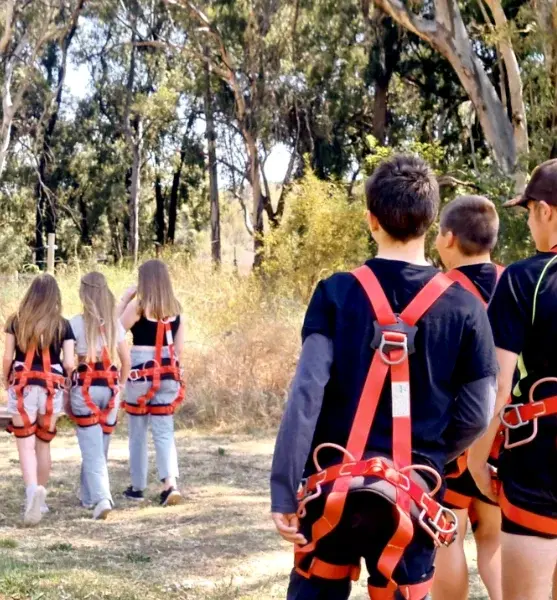 Thrilling zipline for kids