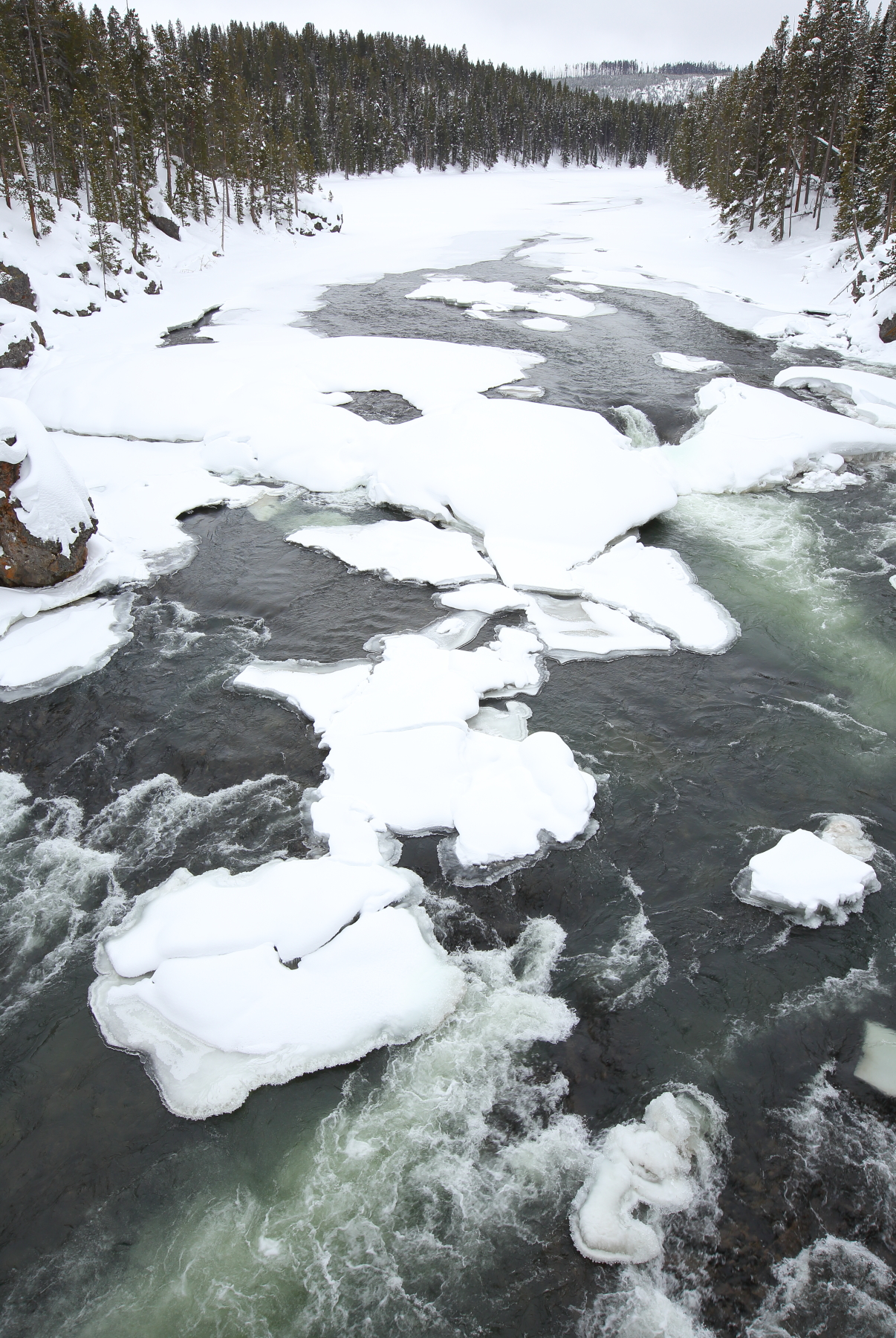 Ice Patterns