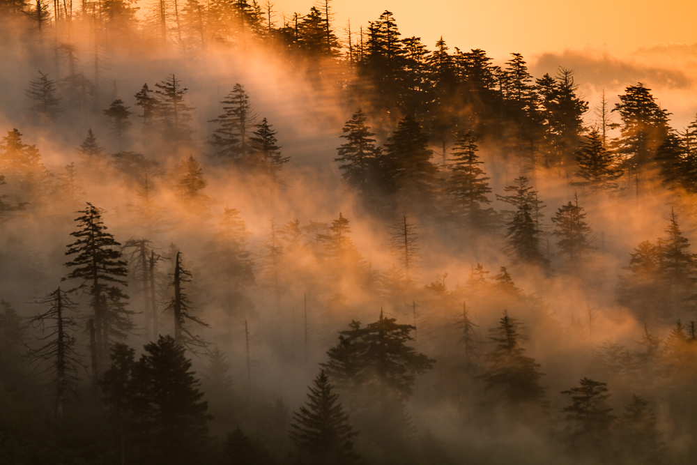 Clingmans Dome sunrise