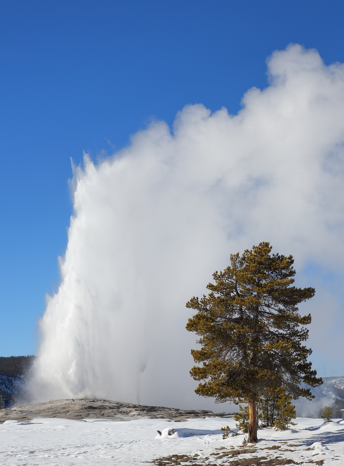 Old Faithful Geyser