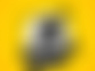 Important News from the Council of Governors for Multiple District 22