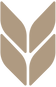 Logo Carvalho Medeiros Advogados