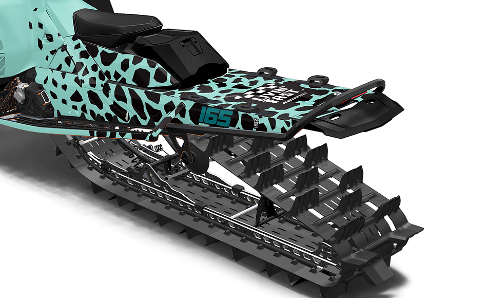 Thumbnail: SKI-DOO POLAR NEOMINT GRAPHICS KIT