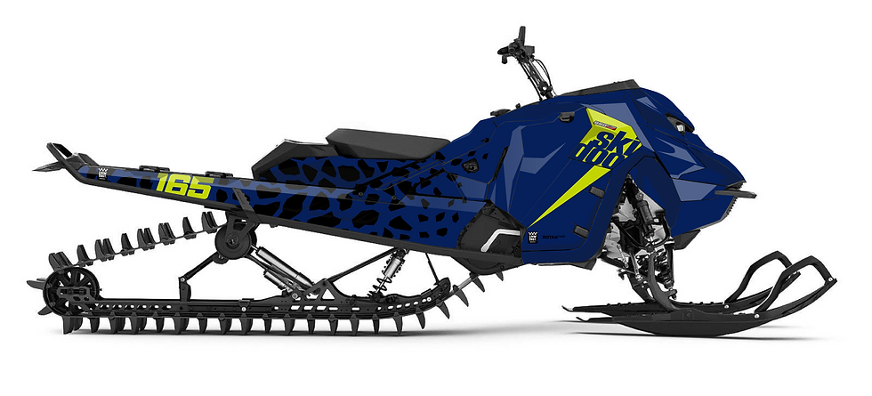 Miniature : POLAR 2.0