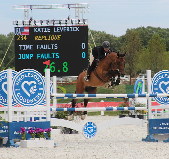 Millennium Farm Hunter Jumper Barn Illinois
