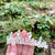 Thumbnail: Silver Pointed Crystal Tiara