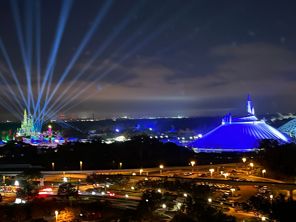 castle, lights, space mountain
