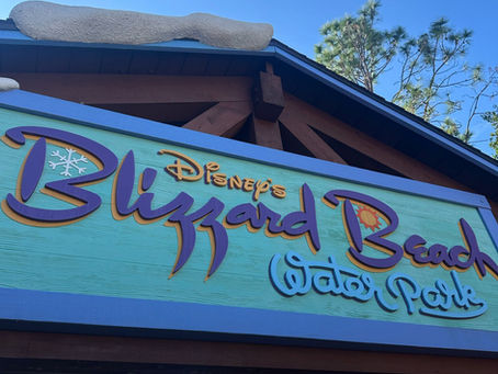 Disney Water Park