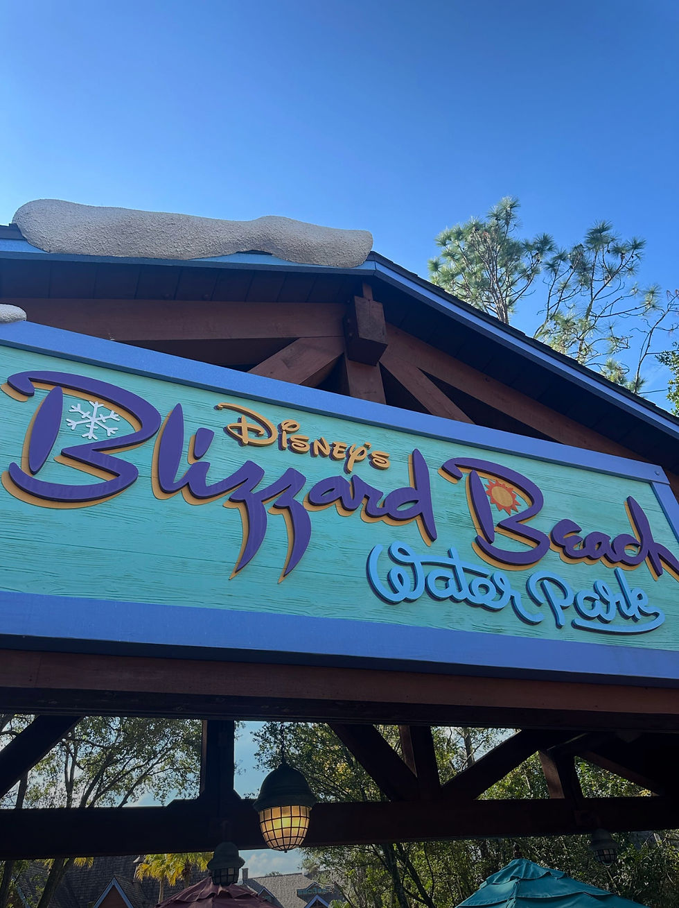 Disney Water Park