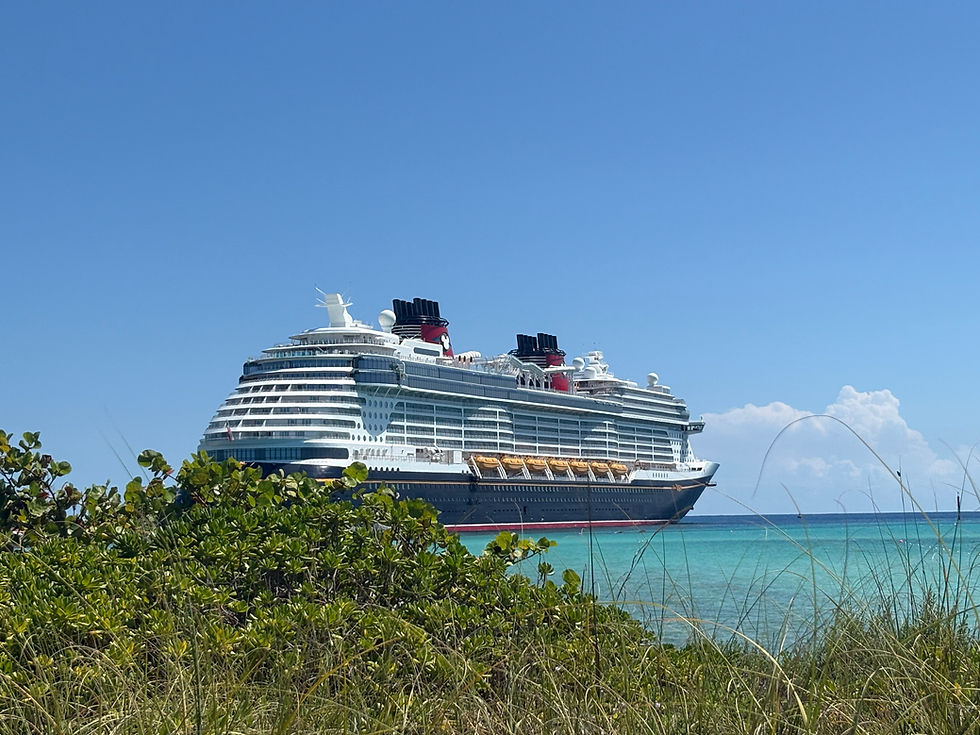 Large cruise ship on blue ocean with foliage