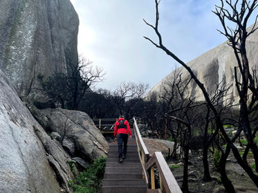 Paarl-rock-staircase