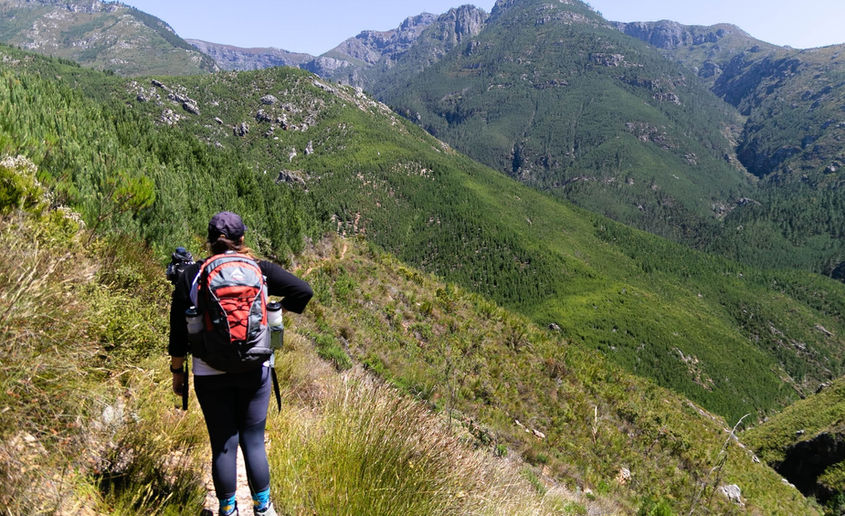 Hiker walking on the Genadendal Hiking Trail.