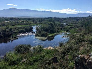 Breede River at Bontebok National Park.