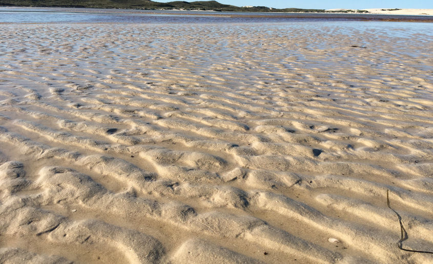 Sand striations on river bank at De Mond Nature Reserve.