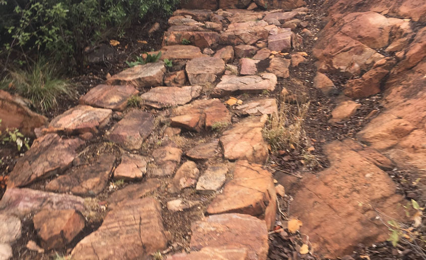 Rocky path at Wonderboom Nature Reserve.
