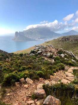 View over Hout Bay on the Noordhoek Panorama Circuit