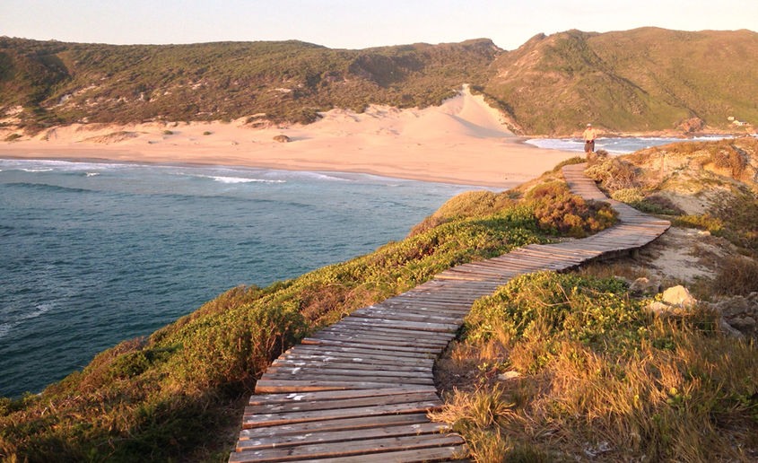 Hiker at sunset walking on boardwalks on Robberg Peninsula.