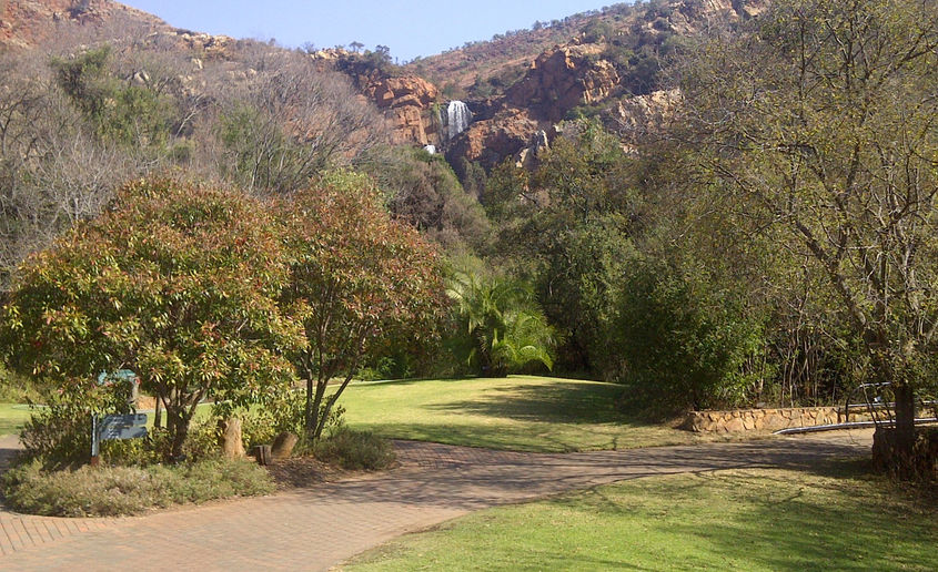 Paved path leading to a waterfall at Walter Sisulu Botanical Gardens.