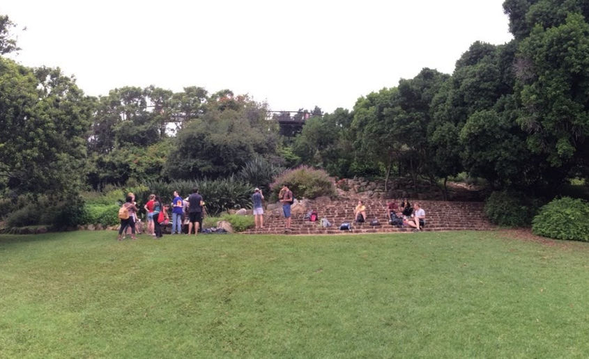 Green field and hikers in Kirstenbosch National Botanical Gardens in Cape Town.
