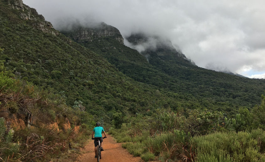 Mountain biker on a jeep track above Kirstenbosch Gardens.