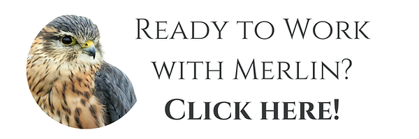 Heading (Email Header) (1).png