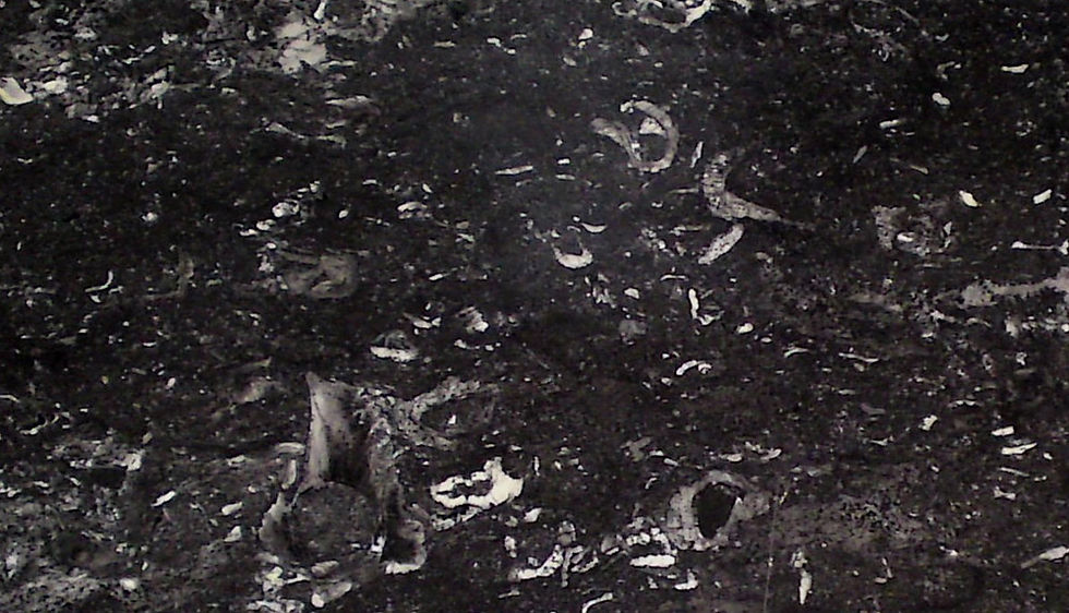 Thumbnail: VORONOI