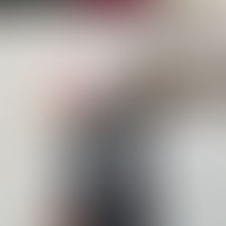 The Cat Who Saved The Library