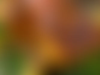 Ürtidega röstitud kalkun