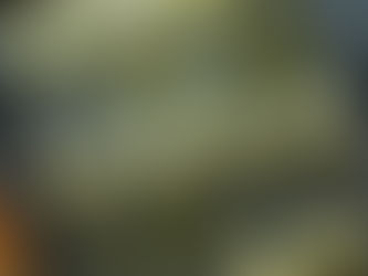 Suvikõrvitsa "lihapallid"