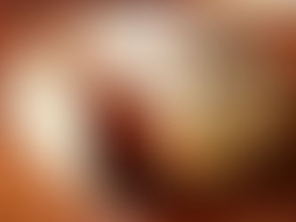 Kodused kannelirullid