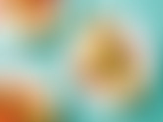 Veiseliha Enchiladas