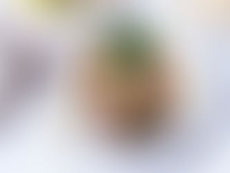 Röstitud lambaliha salsa verde ja cannellini püreega