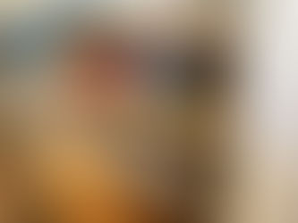 ゴミ箱が入らない！