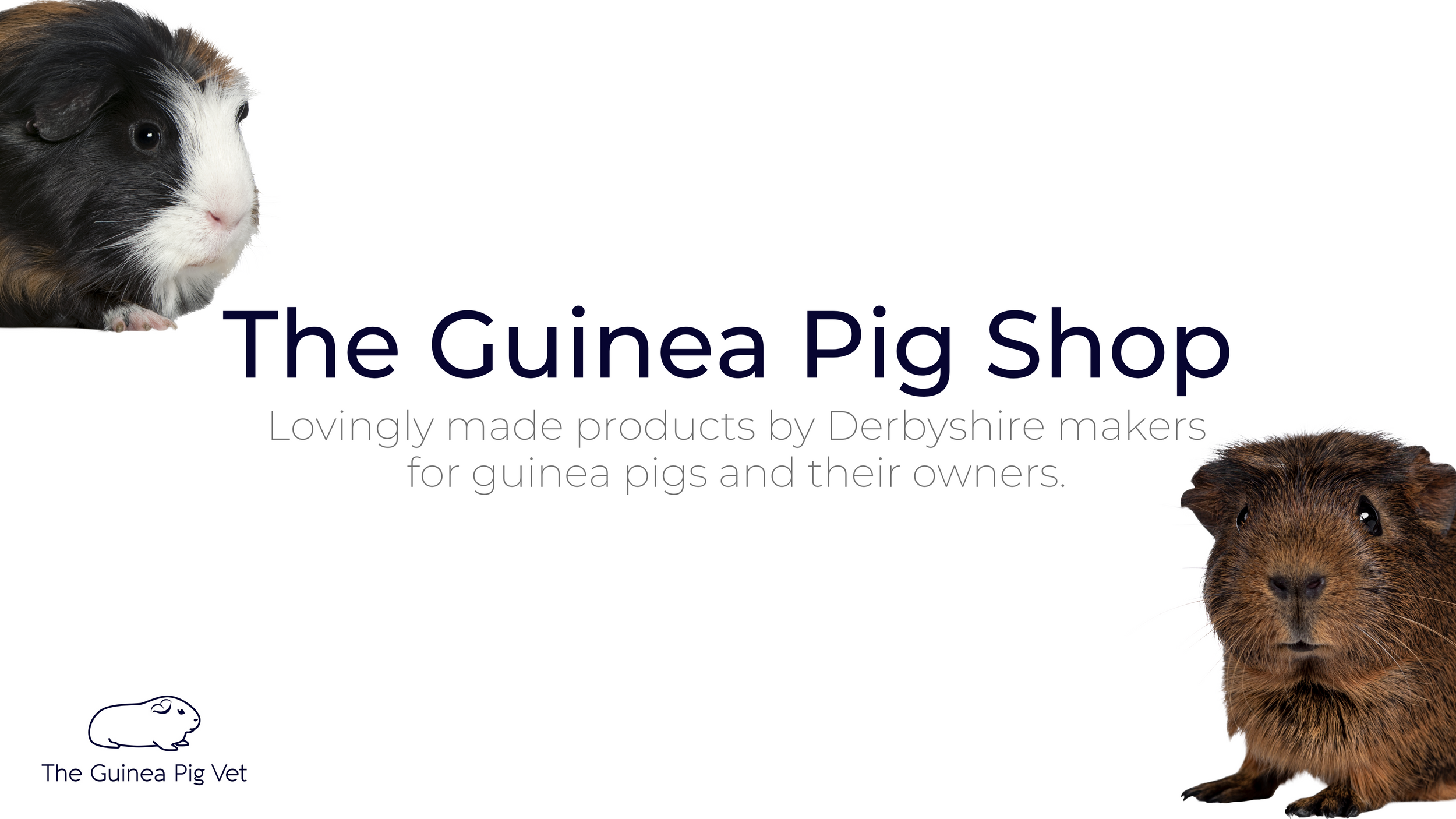 The Guinea Pig Shop Theguineapigvet