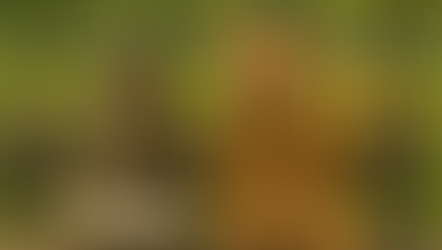 Introvertiert, extravertiert - oder einfach nur ich?