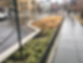 Dig In: Bioswales – Perennial Solutions and Tunnels for Stormwater Runoff