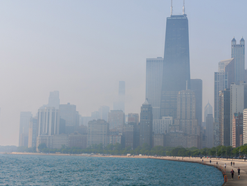 January Newsletter - Read up on our plans for the new year!