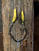 double candle made on a U bent root