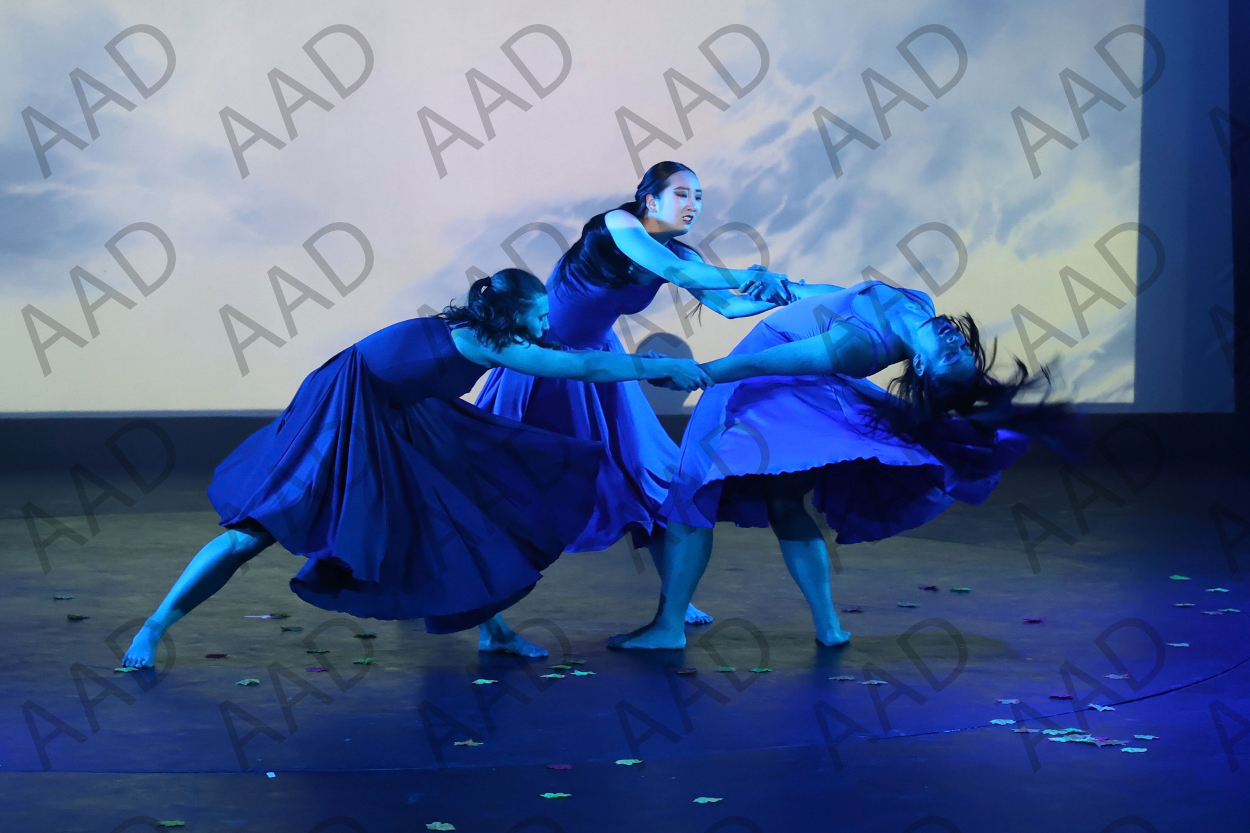 Level 6 Contemporary