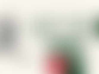 TERNANA WOMEN: RINNOVA CLAUDIA CICCOTTI