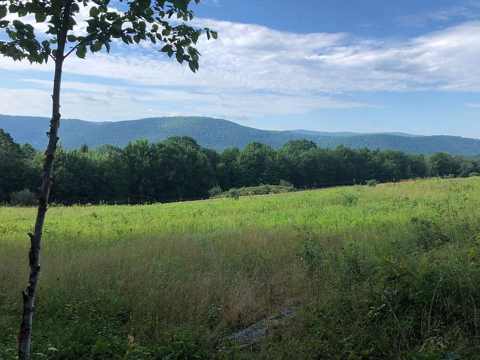 View of the mountains and pasture from the stone pile fence in the Catskills.